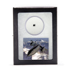 SR-71 Blackbird Fragment
