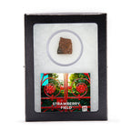 Beatles Brick Fragment - Strawberry Field Brick