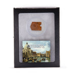 Venice Brick