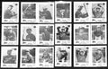 1975 Dairy Queen Baseball Tacoma Twins Complete Team Set (25/25) Cards 189371