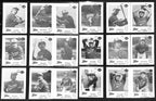 1975 Dairy Queen Baseball Tacoma Twins Complete Team Set (25/25) Cards 189371