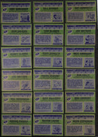 1976-77 Topps Hockey Philadelphia Flyers Complete Team Set (24/24) Cards 189204