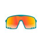 Miami Dolphins Campeones
