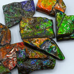 Rainbow Fossil Ammolite - Gem Quality Ammonite Fossil Fragment