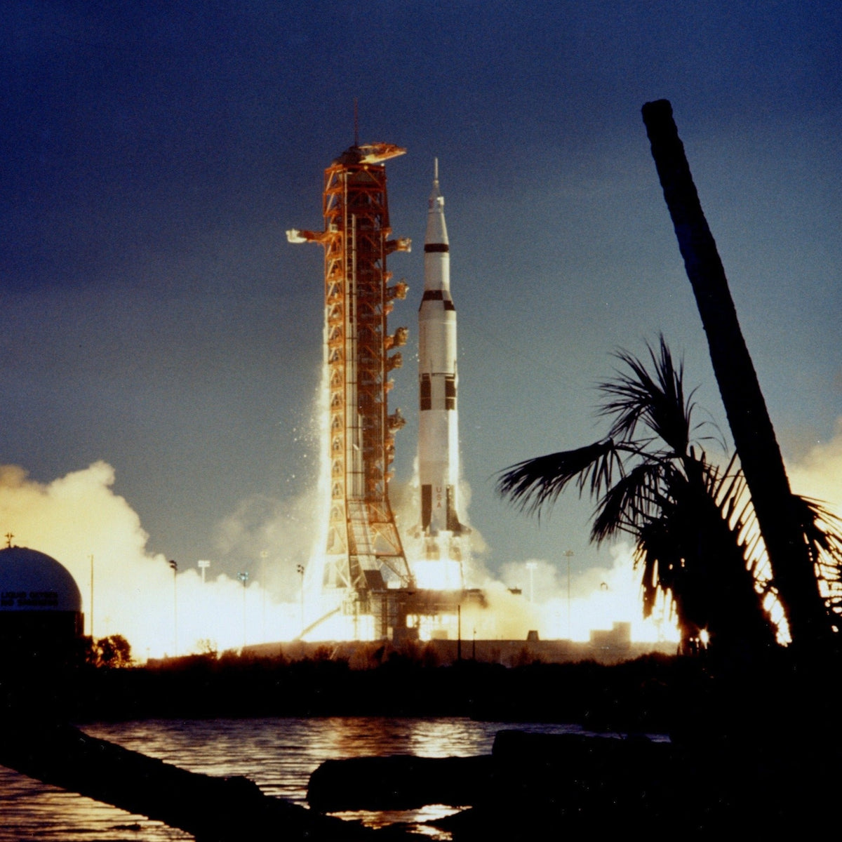 Apollo 14 Moon Tree