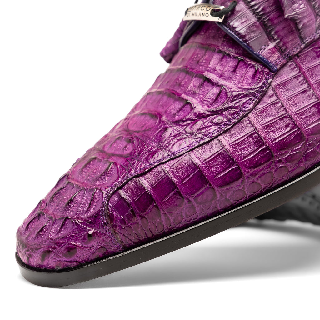 Apricena Purple