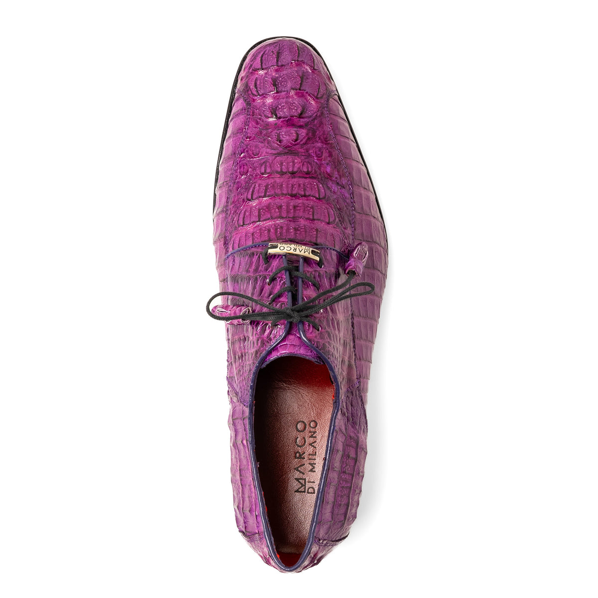 Apricena Purple