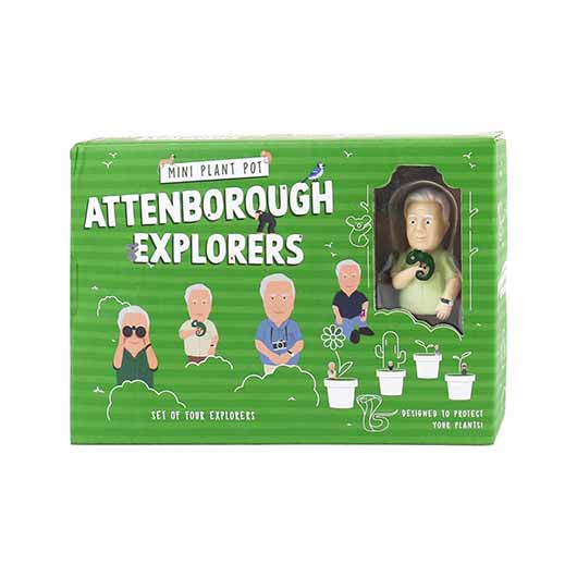 4-pk Mini Attenborough Explorers Planter Figurine Markers - Plant Pot Decorations