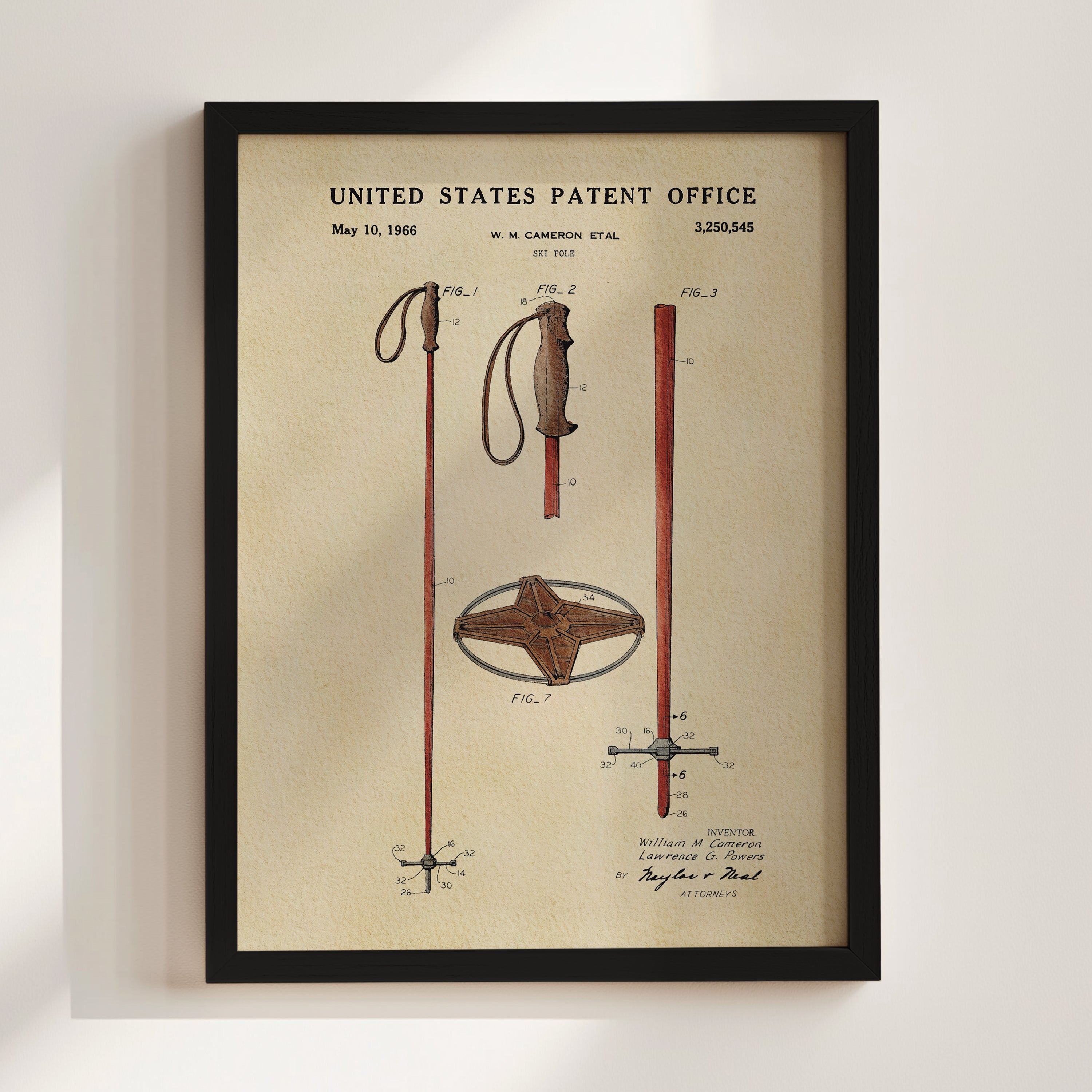 Ski Pole (1966)