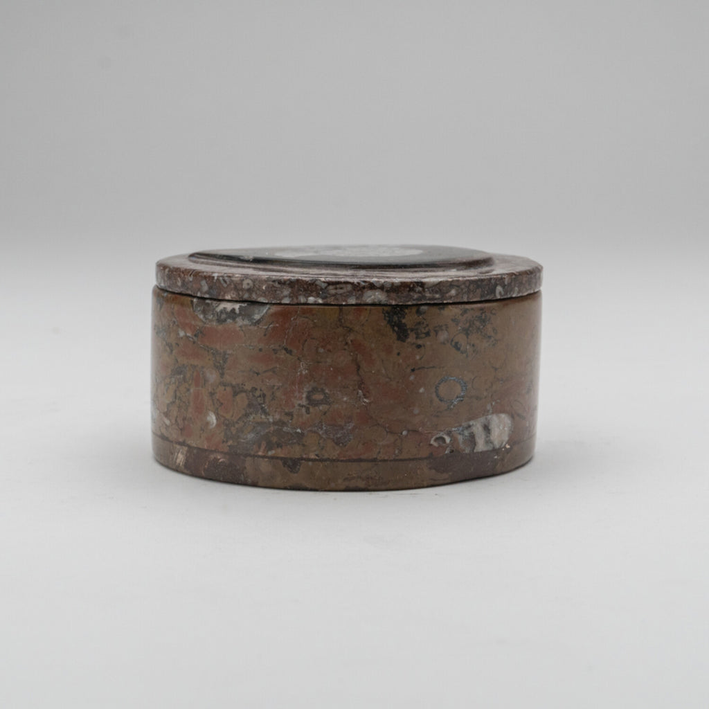 Ammonite and Orthoceras Fossil Round Box
