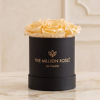 Essence Black Box | Ivory Roses