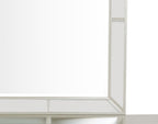 Elegant Contemporary Mirror