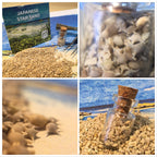 Japanese Star Sand