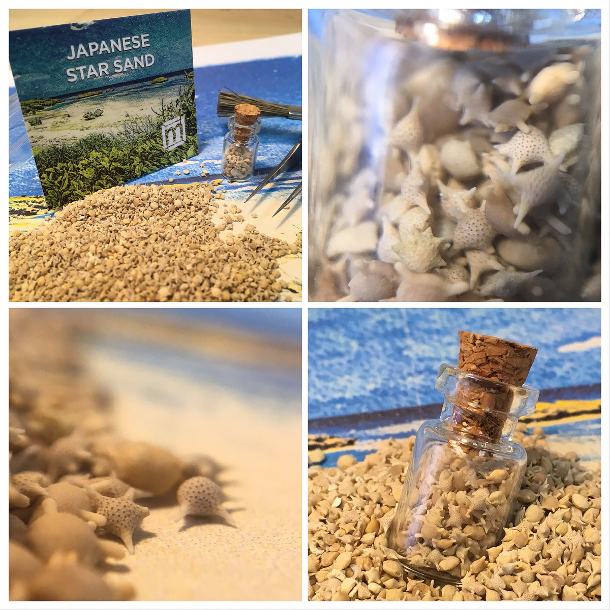 Japanese Star Sand