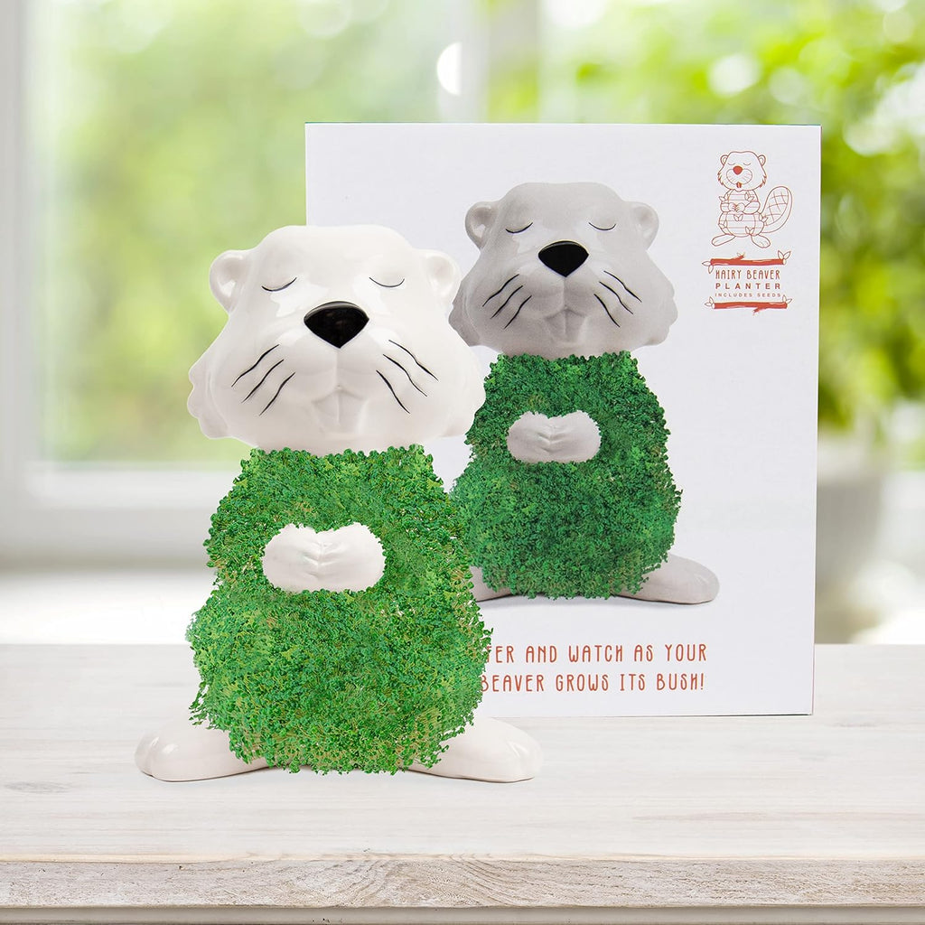 Hairy Beaver Ceramic Planter - Sprouting Chia Pet Plant Pot - Gift Republic