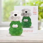 Hairy Beaver Ceramic Planter - Sprouting Chia Pet Plant Pot - Gift Republic