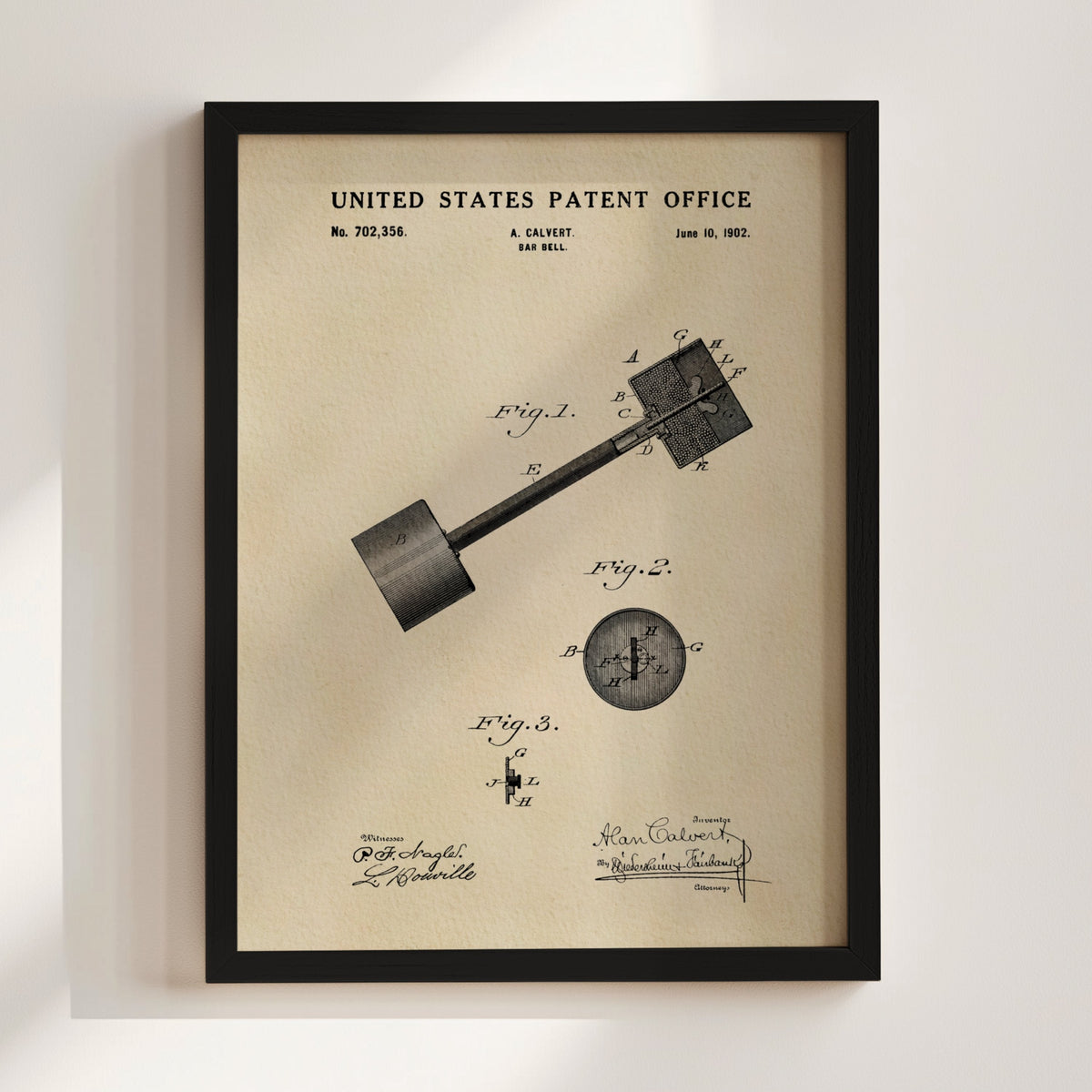 Barbell (1902) FINAL