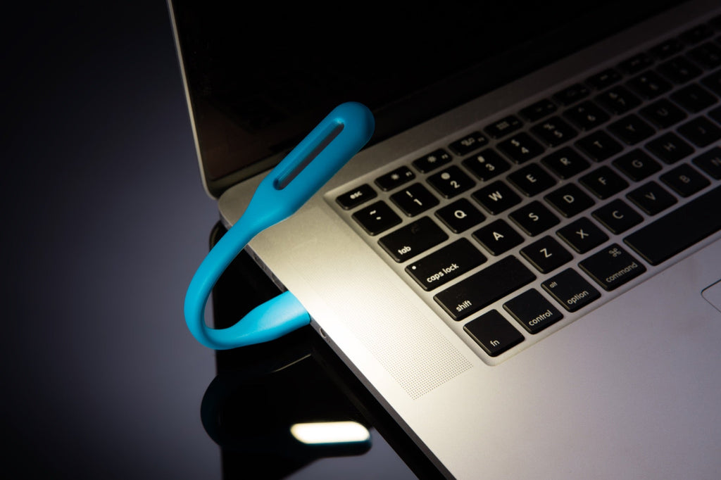 LED Laptop & Reading Light