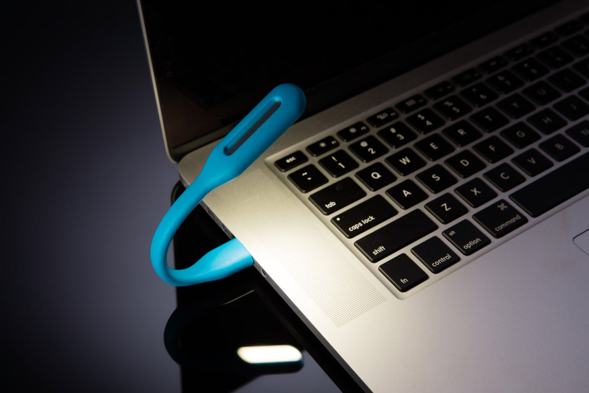 LED Laptop & Reading Light