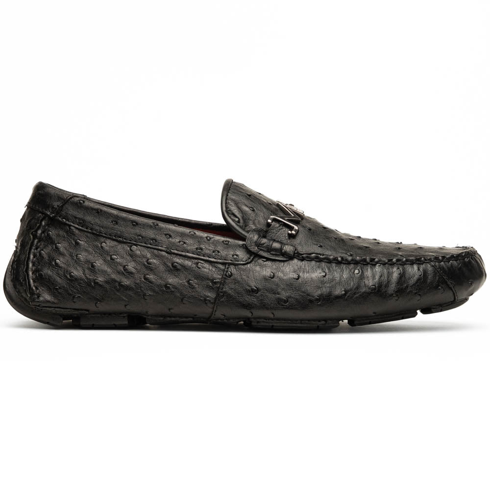 Bolonia Black