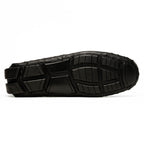 Bolonia Black
