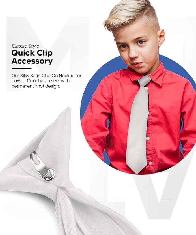 Vittorio Farina Boy's Satin Clip Necktie