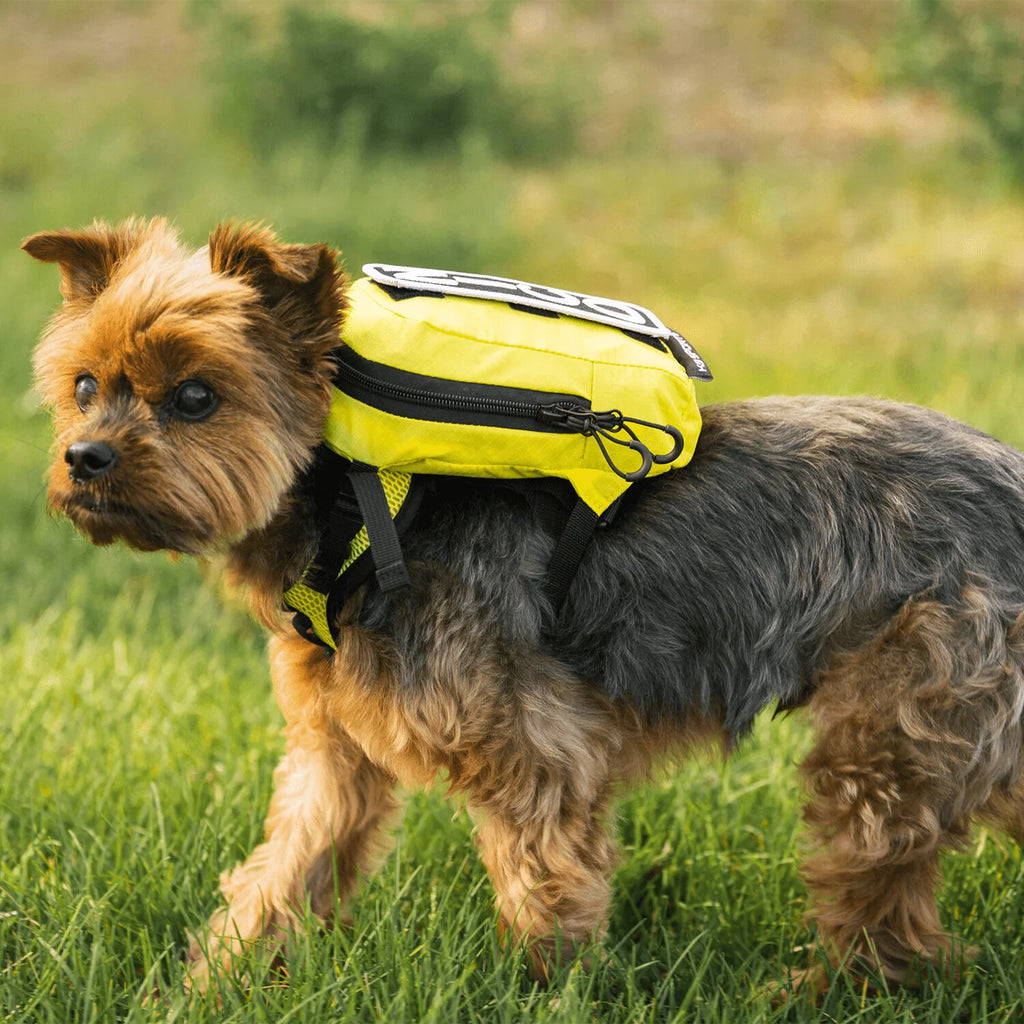 Walk-On with Harness & Storage // Yellow