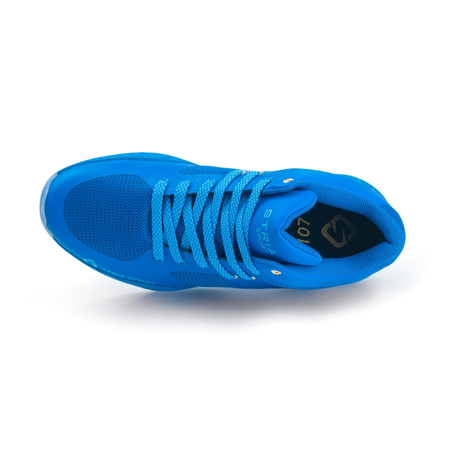 107 Series // All Blue