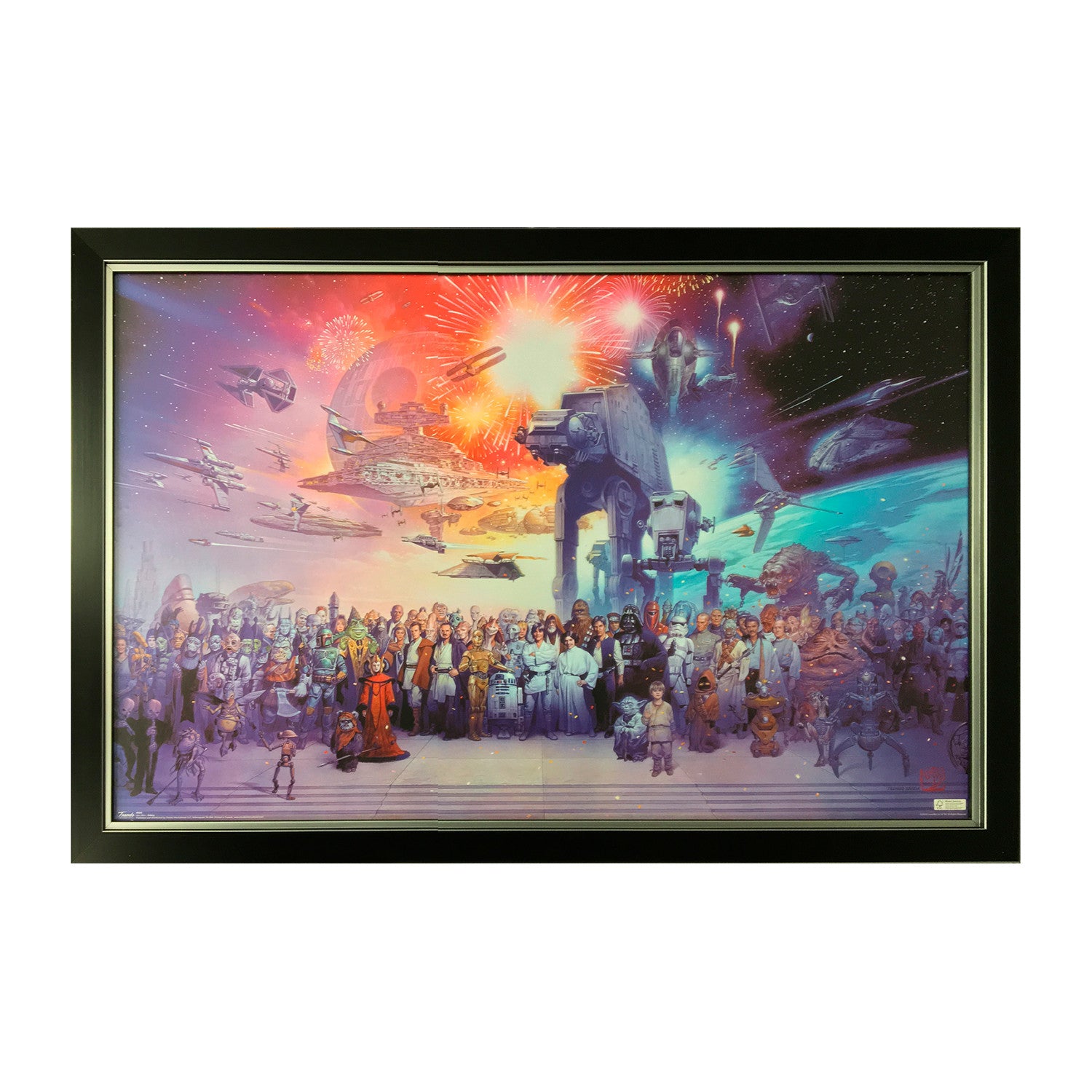 Star Wars Collection // Framed Art of All Characters
