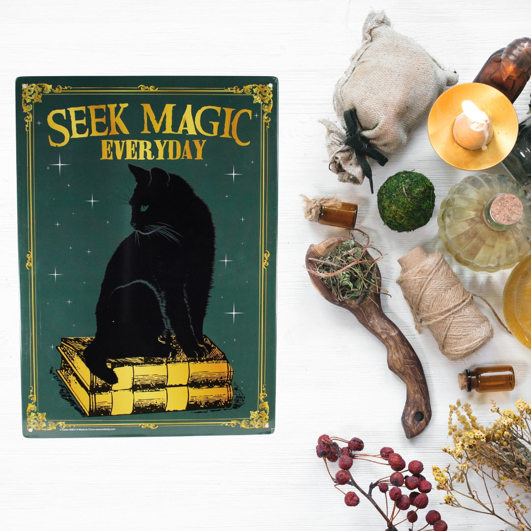 🐾 "Seek Magic Everyday" Metal Tin Sign – 11.5" x 8.25"