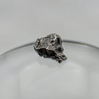 Cosmic Campo del Cielo Mini Meteorite