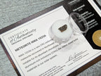 Meteorite NWA 10256