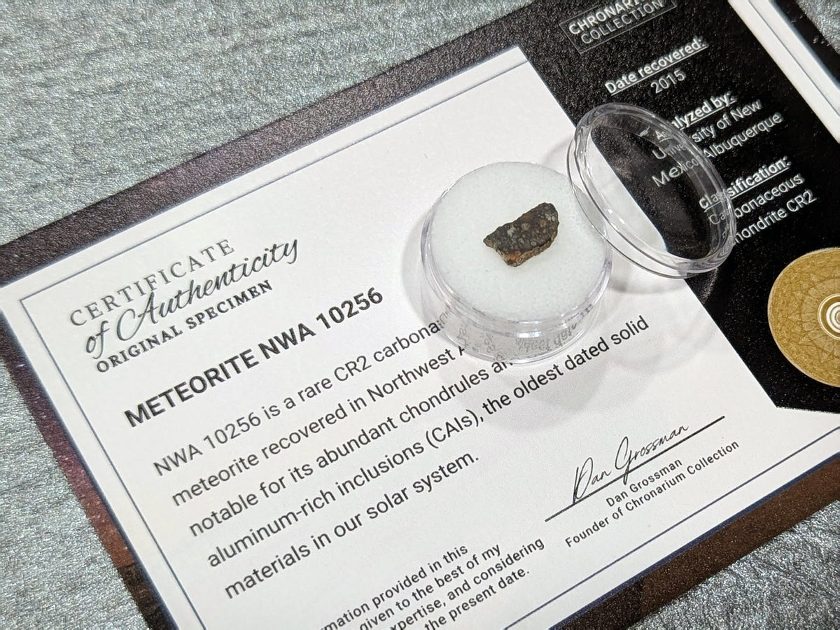 Meteorite NWA 10256