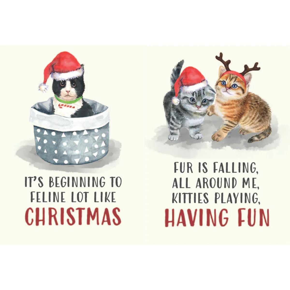 All I Want for Christmas Is More Cats – Funny Holiday Book for Cat Lovers 🎄