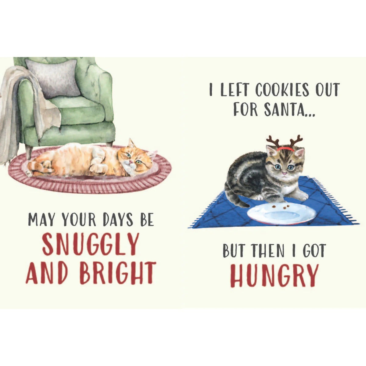 All I Want for Christmas Is More Cats – Funny Holiday Book for Cat Lovers 🎄