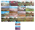 Lot of (15) Postcards from Santa Anita Park Horse Racing Track Arcadia, CA