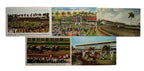 Lot of 5 Vingtage 1950's Gulfstream Racing Park Hallandale, Florida