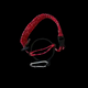 SantaRed
