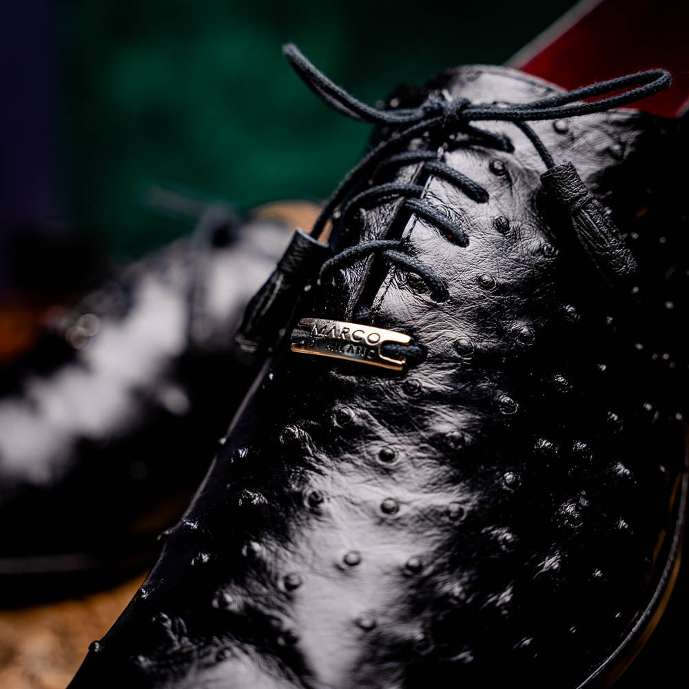 Criss Black