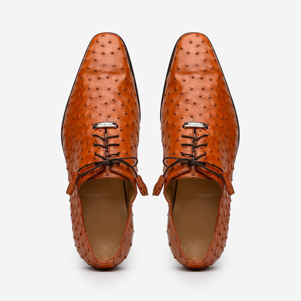 Criss  Brandy