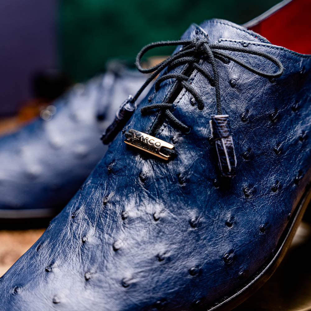 Criss Navy