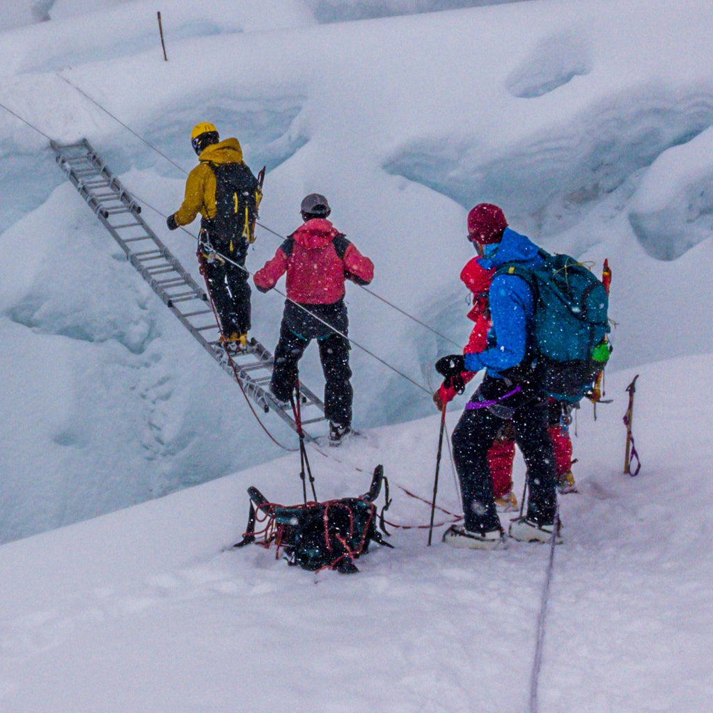 Mount Everest Ladder Rung