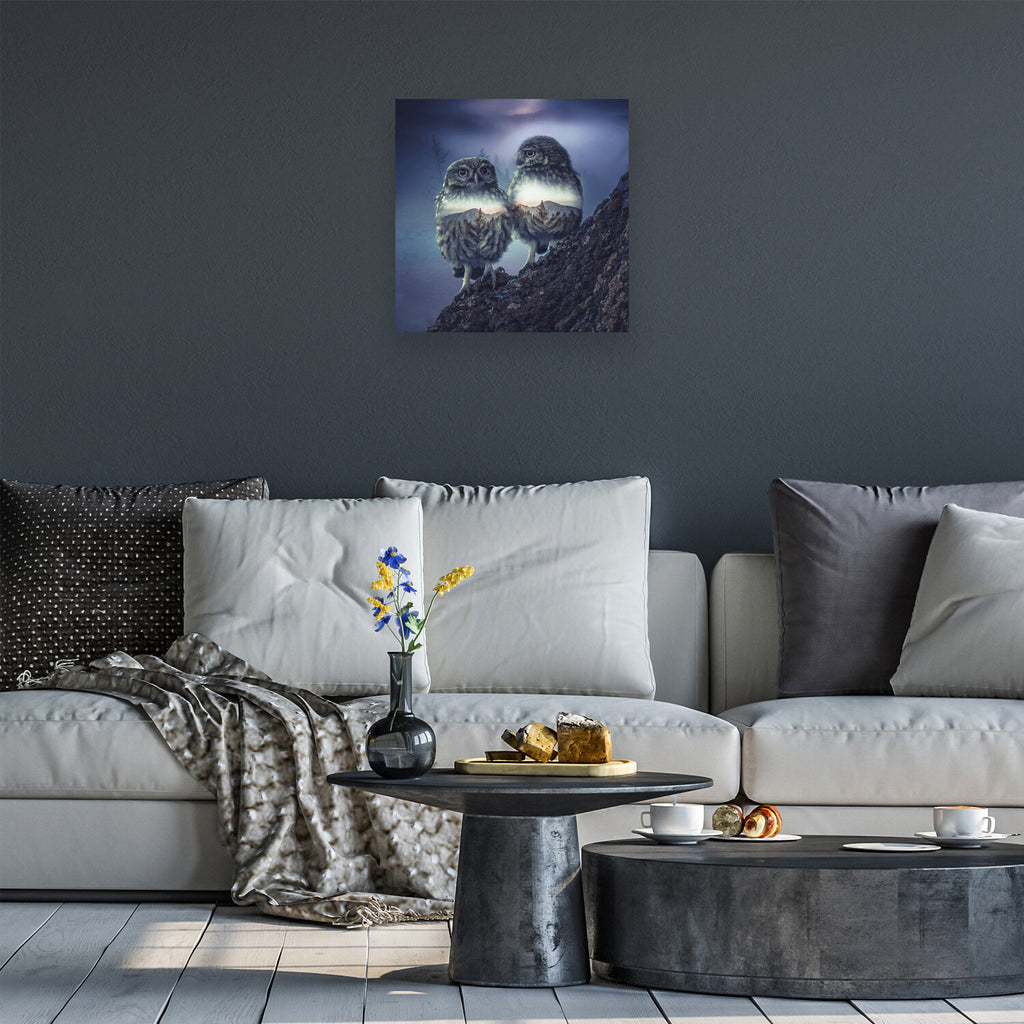 Owl Twins Print On Acrylic Glass by Paul Haag