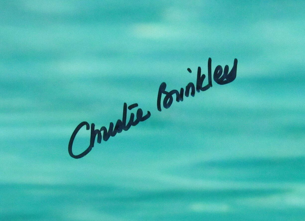 Christie Brinkley Vacation Pool Scene  Autographed 11x14 Photo Beckett