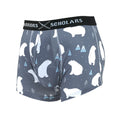 Polar Trunk // Gray