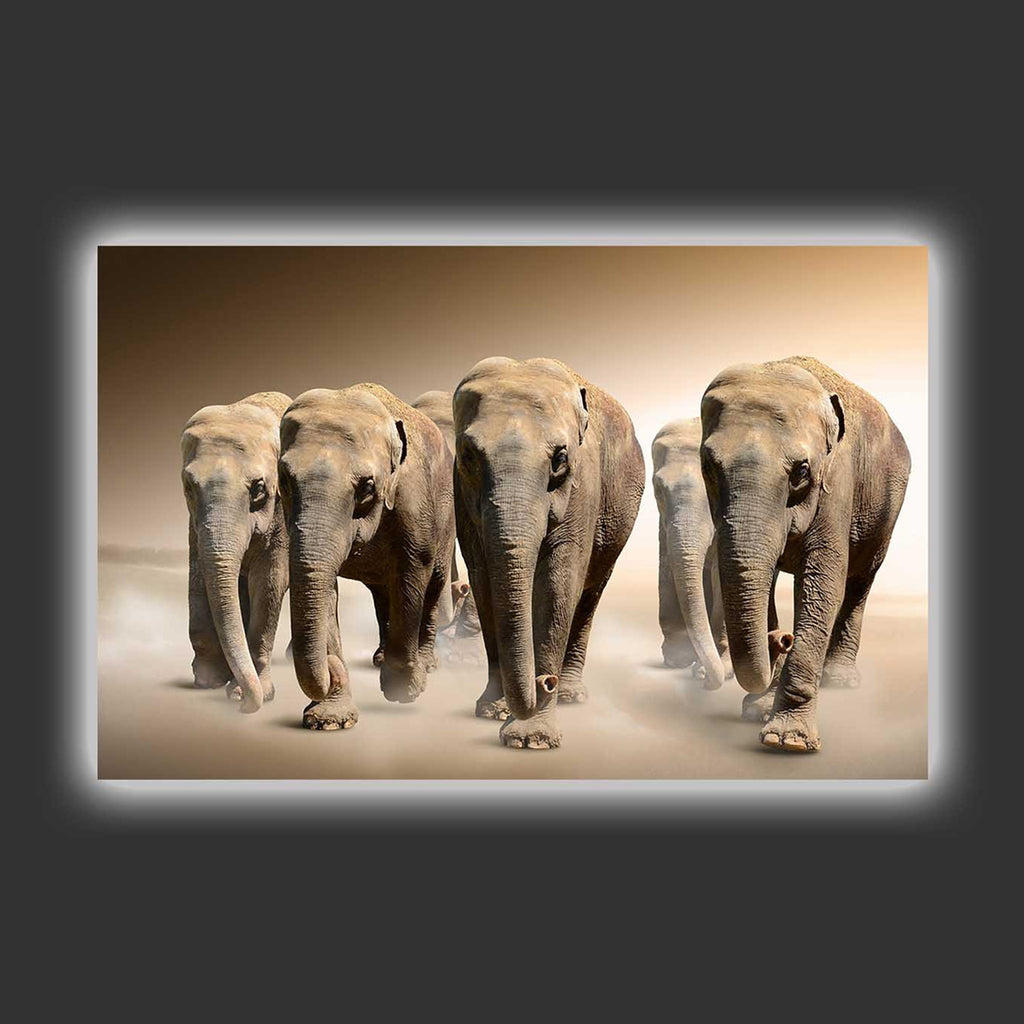 Elephant Herd