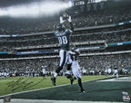 Dallas Goedert Autographed 16x20 Photo Philadelphia Eagles Fanatics 176768