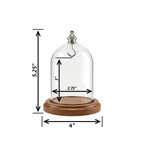 Pocket Watch Glass Display Dome Cloche Real Walnut Wood Base & Silver Hook 3"x4"