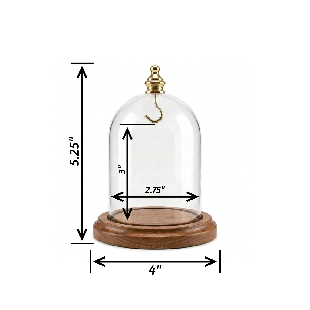 Pocket Watch Glass Display Dome Cloche Real Walnut Wood Base & Gold Brass Hook 3"x4"