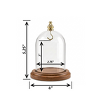 Pocket Watch Glass Display Dome Cloche Real Walnut Wood Base & Gold Brass Hook 3"x4"
